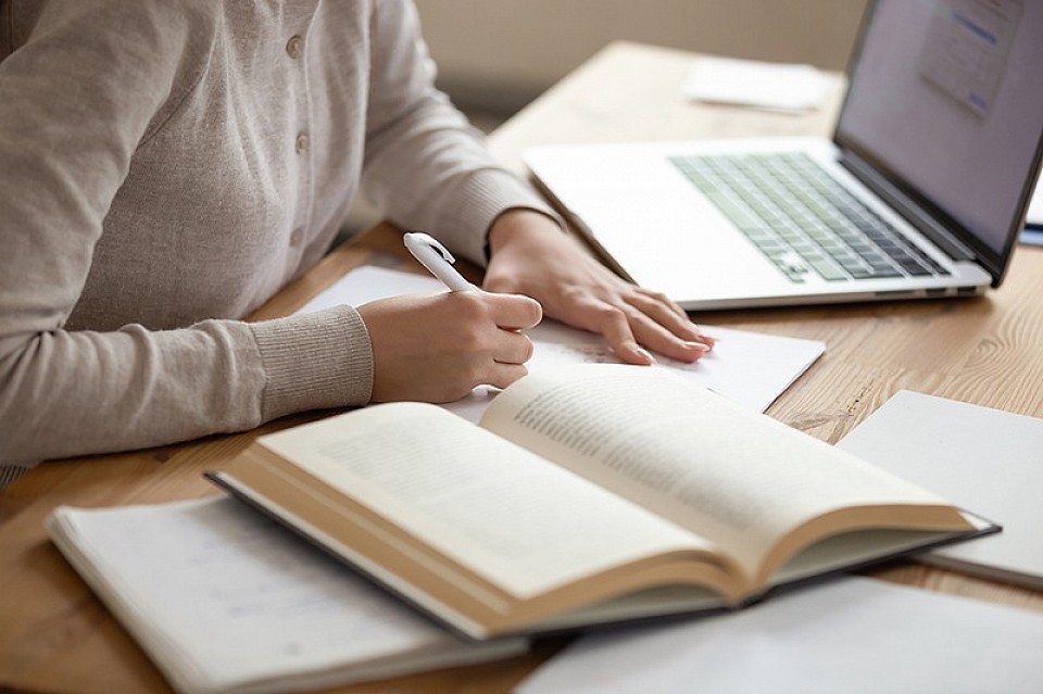 Essay Writers